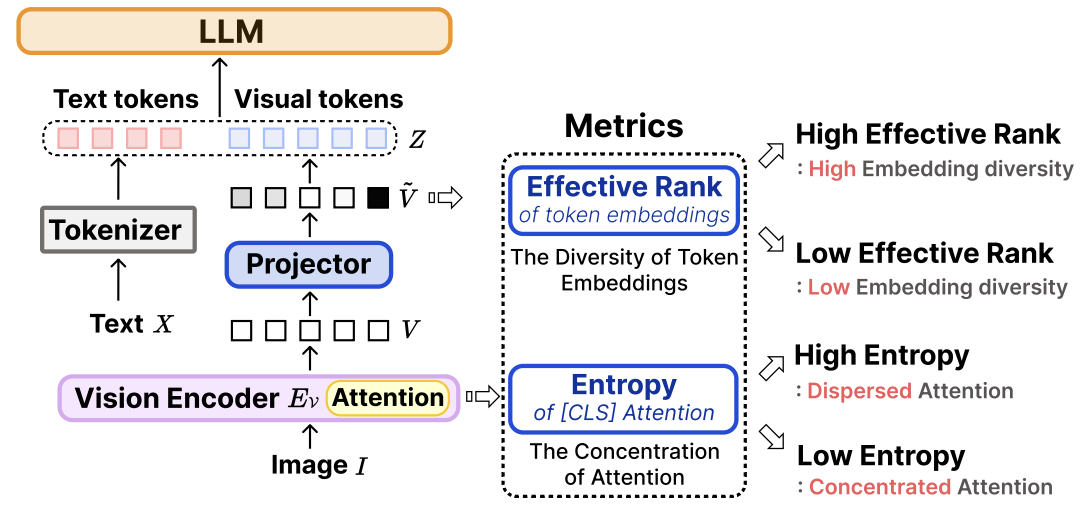출처: AgilePruner: An Empirical Study of Attention and Diversity for Adaptive Visual Token Pruning in Large Vision Language Models (Baek et al., 2026)