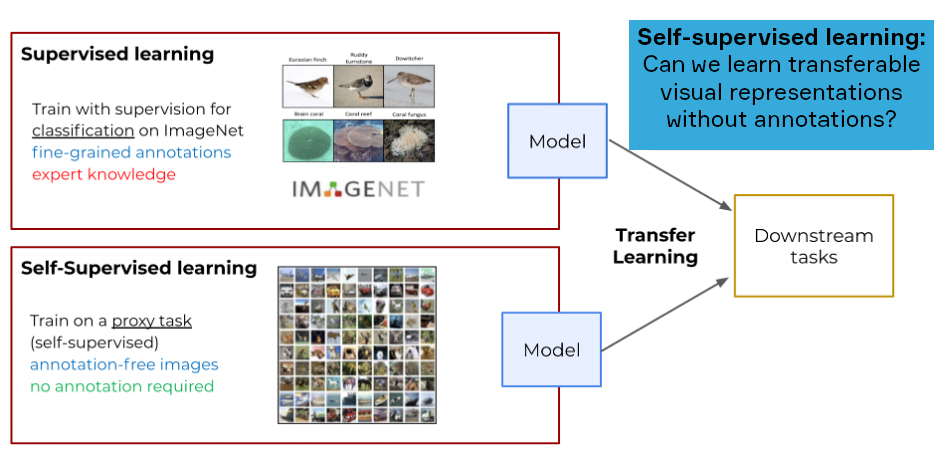 그림15. Supervised Learning과 Self-Supervised Learning의 차이점 8 : Label에 의존하는 Supervised Learning과 다르게 일반적인 Representation을 학습할 수 있다.