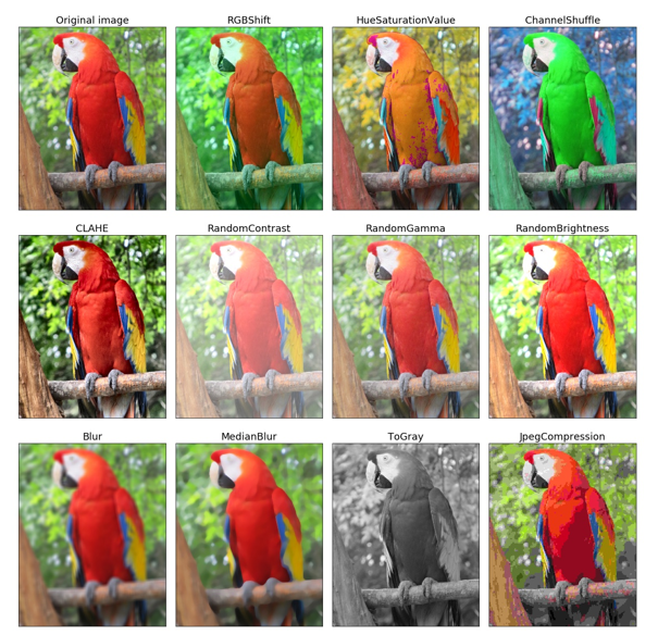 그림32. Pixel Level Transforms을 적용한 Image Augmentation 에시