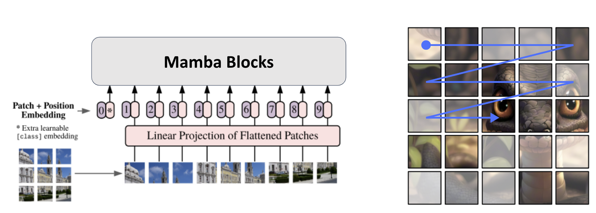 Black Mamba image 14