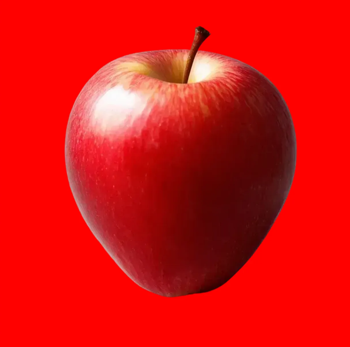 그림 4. 색깔 관련 자료 3