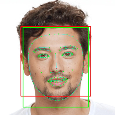 그림22. Face Detection을 수행한 결과. (Red): BlazeFace (Green): Task-Specific Model