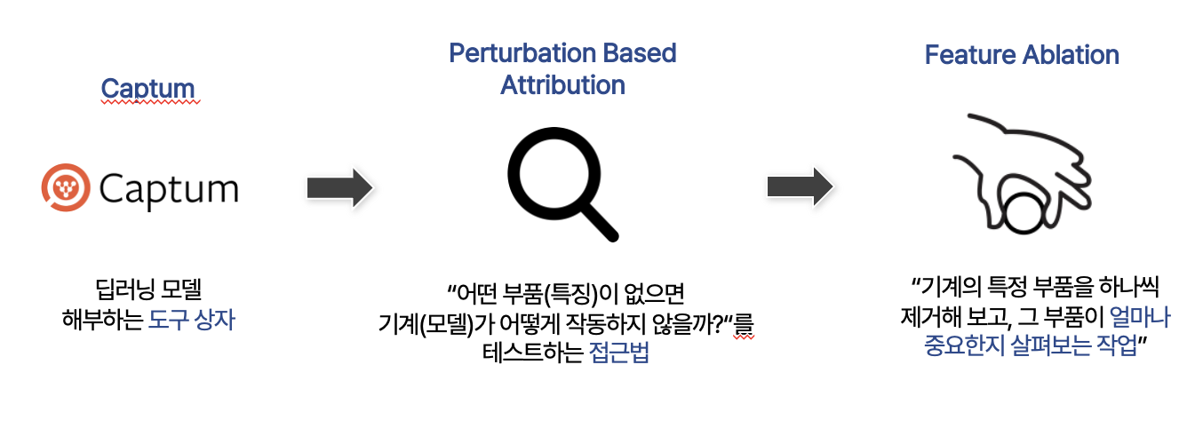 Captum, Perturbation-Based Attribution, Feature Ablation의 관계도 요약